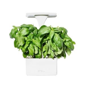 Short Stories LED Indoor Planter *Grow Herbs* NEW